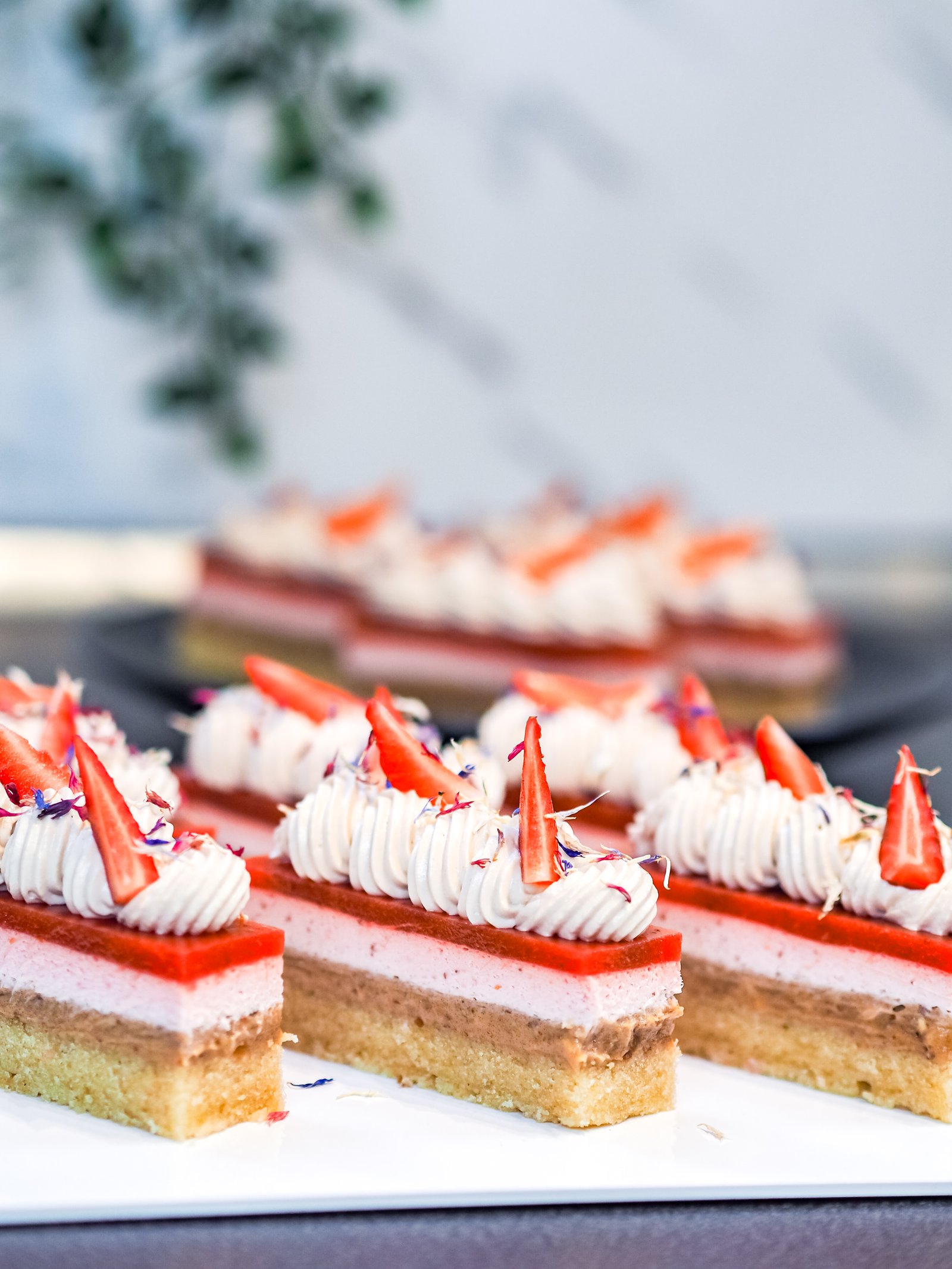 Hazelnut and Strawberry Entremet